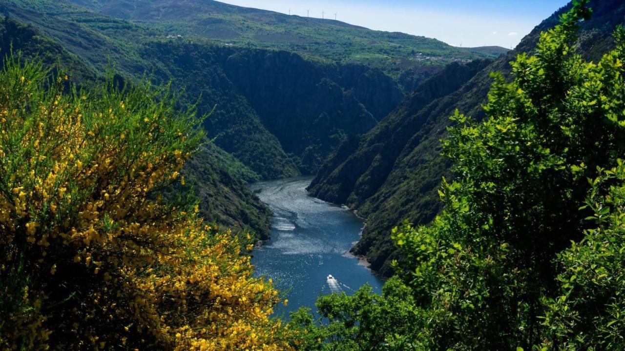 Villa Morin Grey Casa En El Corazon De La Ribeira Sacra Monforte De Lemos Esterno foto