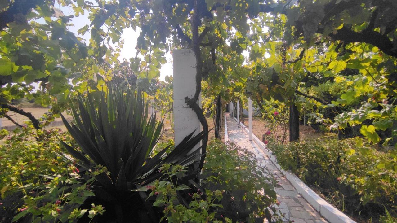 Villa Morin Grey Casa En El Corazon De La Ribeira Sacra Monforte De Lemos Esterno foto